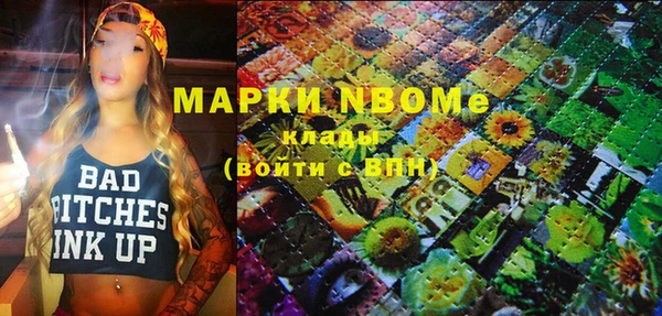 apvp Краснослободск