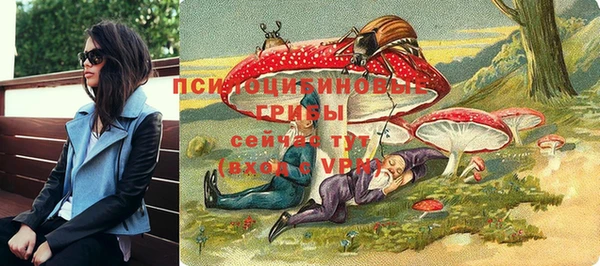 стафф Абинск