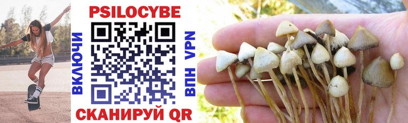 blacksprut ССЫЛКА  Анжеро-Судженск  Псилоцибиновые грибы MAGIC MUSHROOMS 